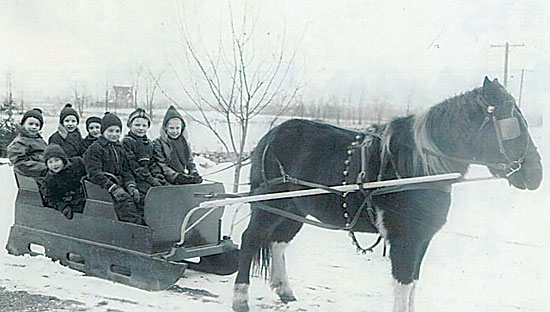 Horse-drawn Sleigh